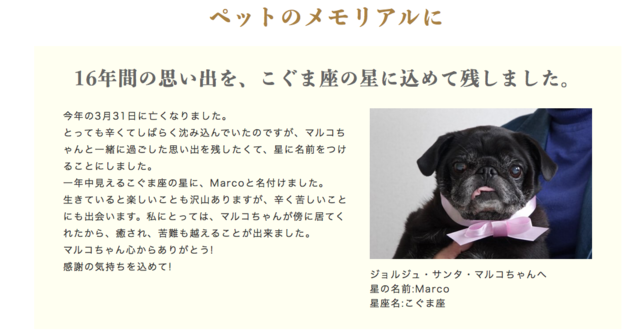スクリーンショット 2019-01-13 21.21.45.png