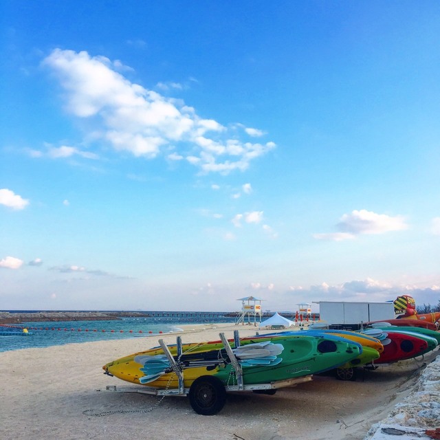 S__41590813.jpg