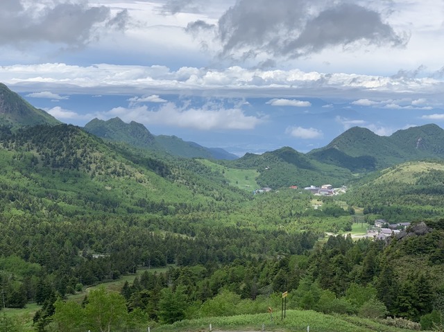 S__59310093.jpg